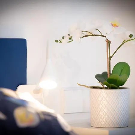 La Gringa Centro Ii Obra Nueva Con Posibilidad De Parking Χιχόν